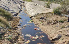 你對(duì)垃圾滲濾液還存在怎樣的誤區(qū)？